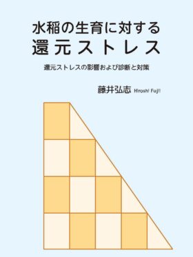 水稲の生育に対する還元ストレス